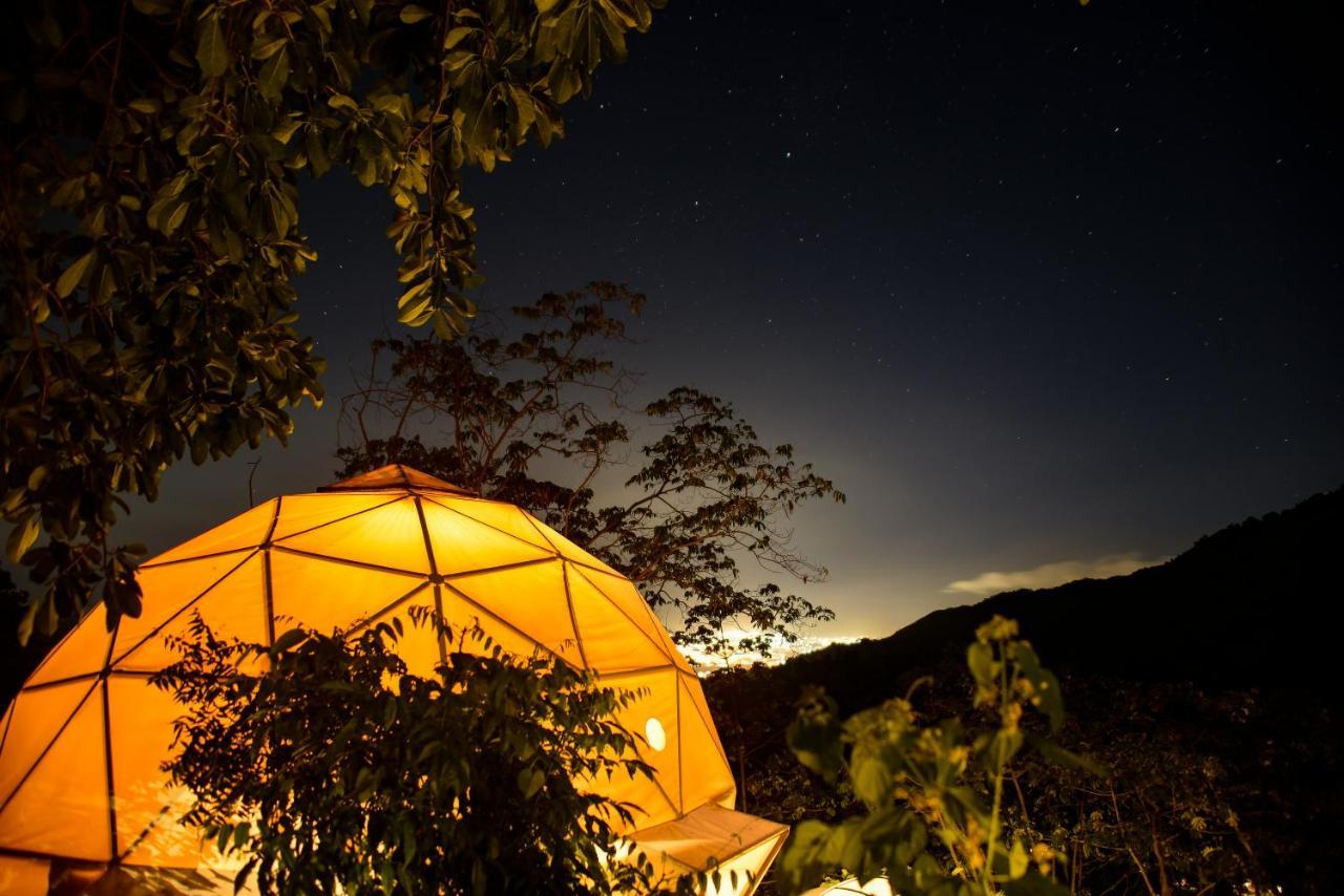 ホテル Trekker Glamping ミンカ エクステリア 写真