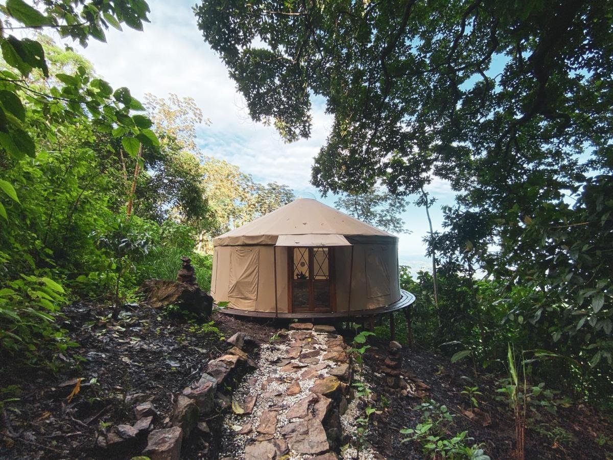 ホテル Trekker Glamping ミンカ エクステリア 写真